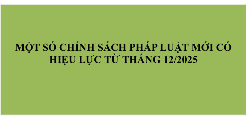 mot-so-chinh-sach-phap-luat-moi-co-hieu-luc-tu-thang-122025